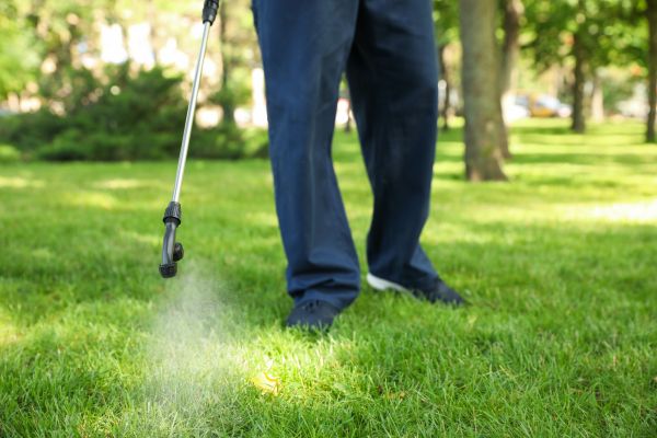 Fayetteville Lawn Treatment