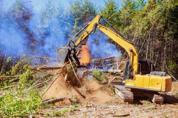 Fayetteville Land Clearing