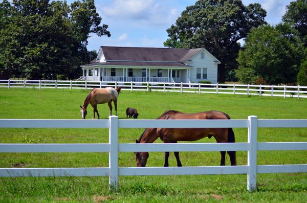 Fayetteville Fence Service